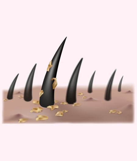 desktop-gif