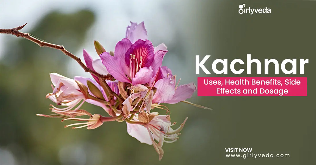 Kachnar: Uses, Health Benefits & Side Effects