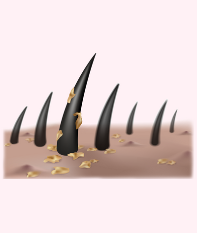 phone-gif